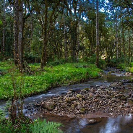 Refugio Tres Catarinas Villa Urubici Kültér fotó