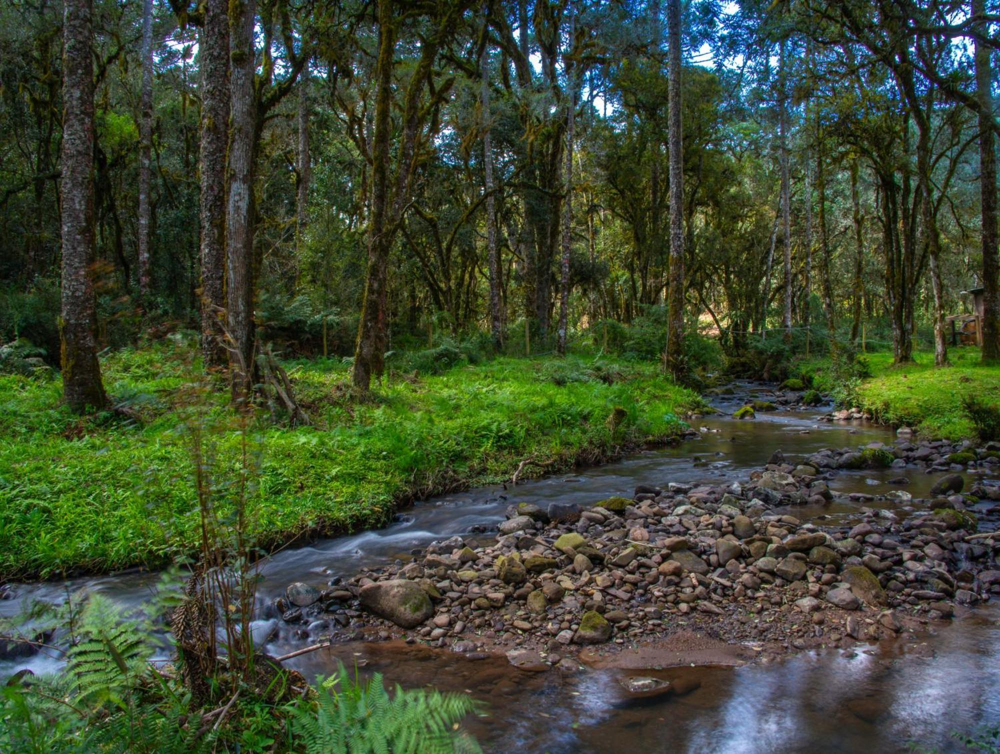 Refugio Tres Catarinas Villa Urubici Kültér fotó